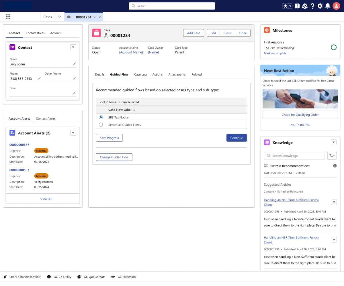 Case Detail Page - Support Platform