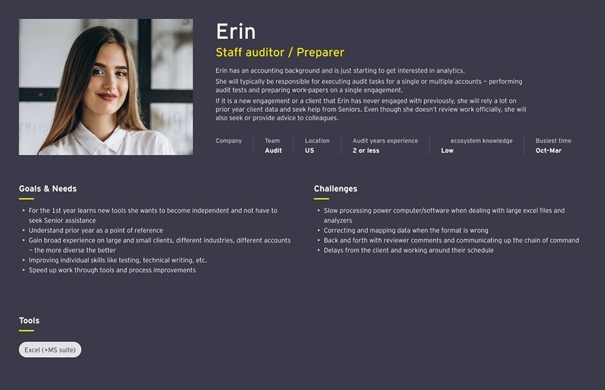 Staff Auditor persona map